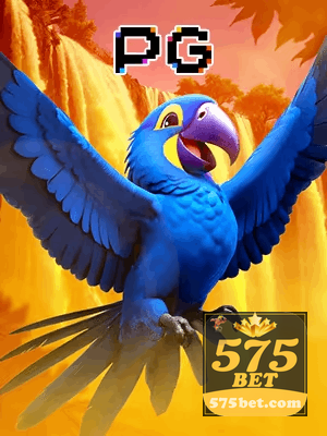 575BET bônus — cashback 15 por cento e níveis VIP
